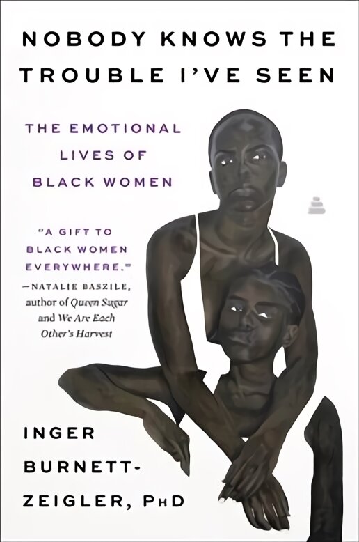 Nobody Knows the Trouble I've Seen: The Emotional Lives of Black Women kaina ir informacija | Biografijos, autobiografijos, memuarai | pigu.lt