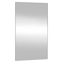 Sieninis veidrodis vidaXL 50x80cm kaina ir informacija | Veidrodžiai | pigu.lt