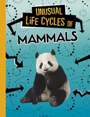 Unusual Life Cycles of Mammals цена и информация | Книги для подростков  | pigu.lt