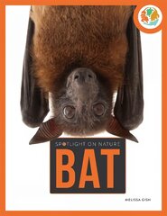 Spotlight on Nature: Bat цена и информация | Книги для подростков  | pigu.lt