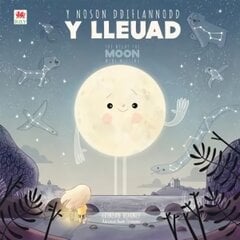 Noson Ddiflannodd y Lleuad, Y / Night the Moon Went Missing, The Bilingual edition kaina ir informacija | Knygos mažiesiems | pigu.lt