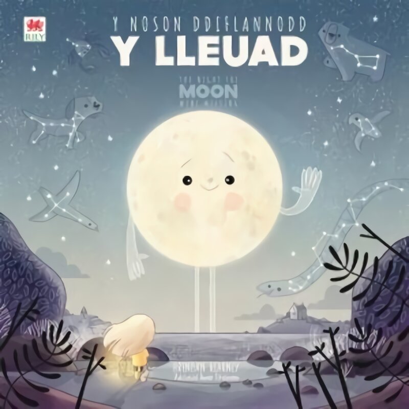 Noson Ddiflannodd y Lleuad, Y / Night the Moon Went Missing, The Bilingual edition цена и информация | Knygos mažiesiems | pigu.lt