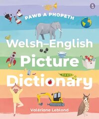 Pawb a Phopeth - Welsh / English Picture Dictionary Bilingual edition цена и информация | Книги для подростков  | pigu.lt