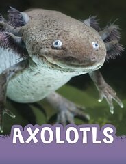 Axolotls kaina ir informacija | Knygos paaugliams ir jaunimui | pigu.lt