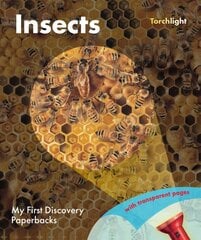 Insects цена и информация | Книги для подростков  | pigu.lt