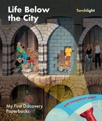 Life Below the City цена и информация | Книги для подростков и молодежи | pigu.lt
