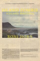 Island Zombie: Iceland Writings цена и информация | Книги по архитектуре | pigu.lt