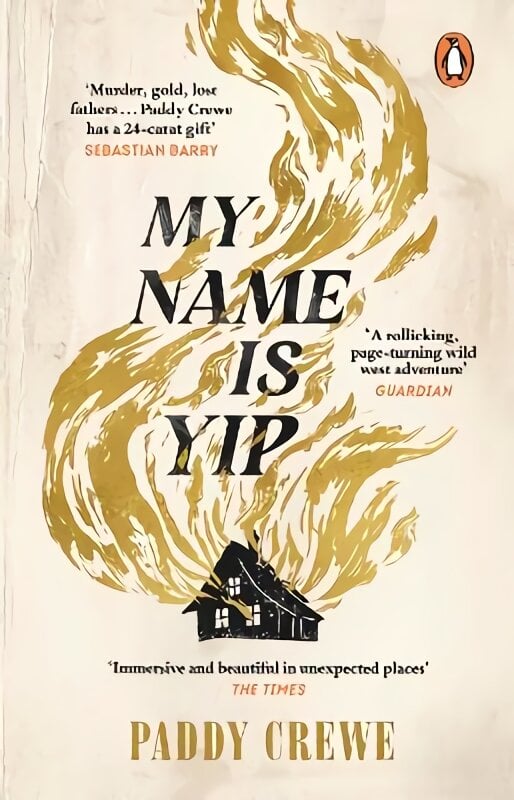 My Name is Yip: An immersive and rollicking debut, longlisted for the Walter Scott Prize for Historical Fiction kaina ir informacija | Fantastinės, mistinės knygos | pigu.lt