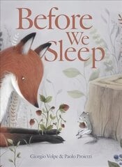 Before We Sleep kaina ir informacija | Knygos mažiesiems | pigu.lt
