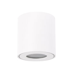 Белый потолочный светильник STRÜHM, 100x55x55 мм цена и информация | Потолочные светильники | pigu.lt