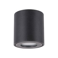 Белый потолочный светильник STRÜHM, 100x55x55 мм цена и информация | Потолочные светильники | pigu.lt