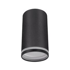 Черный декоративный светильник STRÜHM, 140x60x85 мм цена и информация | Потолочные светильники | pigu.lt
