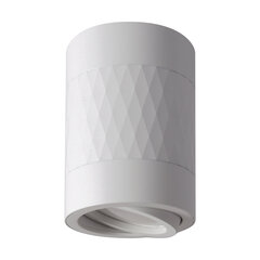 Черный/белый потолочный светильник STRÜHM, 100x70x70 мм цена и информация | Потолочные светильники | pigu.lt