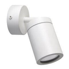 Белый настенно-потолочный светильник STRÜHM, 160x70x70 мм цена и информация | Потолочные светильники | pigu.lt