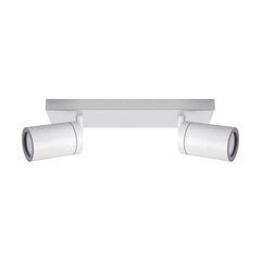 Белый настенно-потолочный светильник STRÜHM, 145x250x60 мм цена и информация | Потолочные светильники | pigu.lt