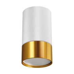 Белый/золотой потолочный светильник STRÜHM, 100x55x55 мм цена и информация | Потолочные светильники | pigu.lt