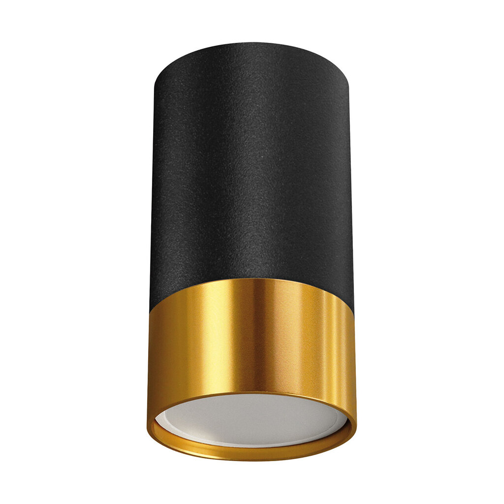 Struhm lubinis šviestuvas Puzon kaina ir informacija | Lubiniai šviestuvai | pigu.lt