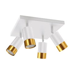 Белый/золотой потолочный светильник STRÜHM, 100x55x55 мм цена и информация | Потолочные светильники | pigu.lt