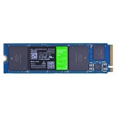 WD Green SN350 500GB M.2 2280 kaina ir informacija | Vidiniai kietieji diskai (HDD, SSD, Hybrid) | pigu.lt