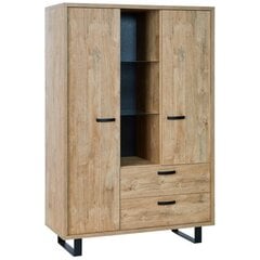 Шкаф Aatrium Como1, 120x50x180 см, коричневый цена и информация | Шкафы | pigu.lt