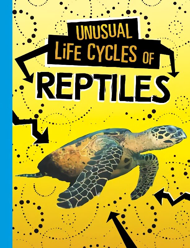 Unusual Life Cycles of Reptiles цена и информация | Knygos paaugliams ir jaunimui | pigu.lt