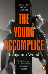 Young Accomplice kaina ir informacija | Fantastinės, mistinės knygos | pigu.lt