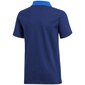 Marškinėliai adidas Condivo 18 Cotton Polo Jr. CF4368 SW450502.8334 цена и информация | Marškinėliai berniukams | pigu.lt