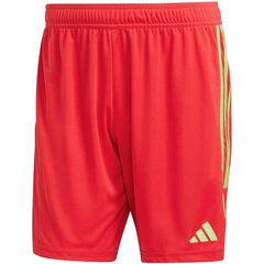 Adidas šortai vyrams Tiro 23 League SW958753, raudoni цена и информация | Футбольная форма и другие товары | pigu.lt