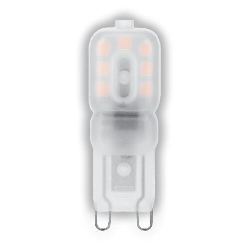 LED lemputė Avide 2.5W G9 3000K kaina ir informacija | Elektros lemputės | pigu.lt