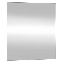 Sieninis veidrodis vidaXL 50x60cm kaina ir informacija | Veidrodžiai | pigu.lt