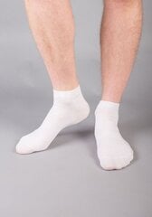 Kojinės vyrams  Issimo I204, baltos цена и информация | Мужские носки | pigu.lt