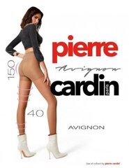 Pėdkelnės moterims Pierre Cardin Avignon, smėlio spalvos, 40 DEN цена и информация | Чулки Fifty Shades of Grey Captivate | pigu.lt