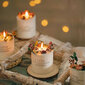 Kvapioji žvakė Vaisinė rožė 750g. kaina ir informacija | Žvakės, Žvakidės | pigu.lt