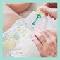 Sauskelnės PAMPERS Premium Care Monthly Pack, 4 dydis, 9-14 kg, 174 vnt kaina ir informacija | Sauskelnės | pigu.lt