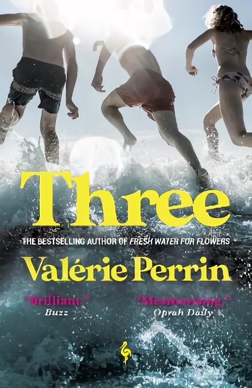 Three: From the bestselling author of Fresh Water for Flowers kaina ir informacija | Fantastinės, mistinės knygos | pigu.lt