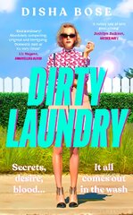 Dirty Laundry цена и информация | Фантастика, фэнтези | pigu.lt