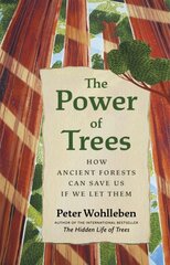 Power of Trees: How Ancient Forests Can Save Us if We Let Them kaina ir informacija | Knygos apie sveiką gyvenseną ir mitybą | pigu.lt