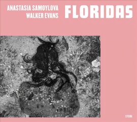 Anastasia Samoylova, Walker Evans: Floridas kaina ir informacija | Fotografijos knygos | pigu.lt