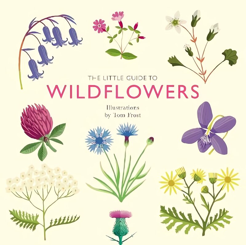 Little Guide to Wildflowers kaina ir informacija | Knygos apie sveiką gyvenseną ir mitybą | pigu.lt