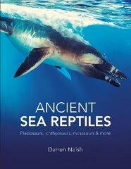Ancient Sea Reptiles: Plesiosaurs, ichthyosaurs, mosasaurs and more цена и информация | Книги о питании и здоровом образе жизни | pigu.lt