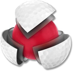 Набор мячей для гольфа Wilson W/S Triad, 12 штук цена и информация | Гольф | pigu.lt