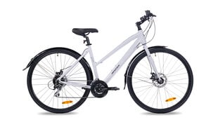 Велосипед Insera Hybrid Evo N, 48 см, белый цена и информация | Велосипеды | pigu.lt