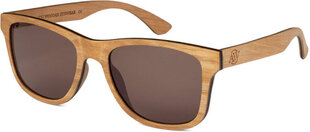 Солнцезащитные очки Aarni Blues Tarvalepä, коричневые цена и информация | Легкие и мощные прозрачные защитные очки для велосипедов | pigu.lt