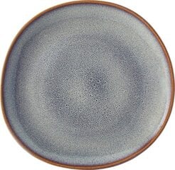 Тарелка Villeroy & Boch, 23,5 см. цена и информация | Посуда, тарелки, обеденные сервизы | pigu.lt