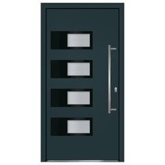 vidaXL Priekinės durys antracito spalvos 110x210cm цена и информация | Уличные двери | pigu.lt