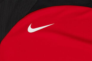 Nike marškinėliai vyrams Dri-FIT Strike 23 DR2276 657, raudoni цена и информация | Футболка мужская | pigu.lt