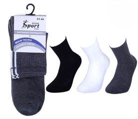 Sportinės kojinės vyrams Bolero BM462, juodos цена и информация | Мужские носки | pigu.lt