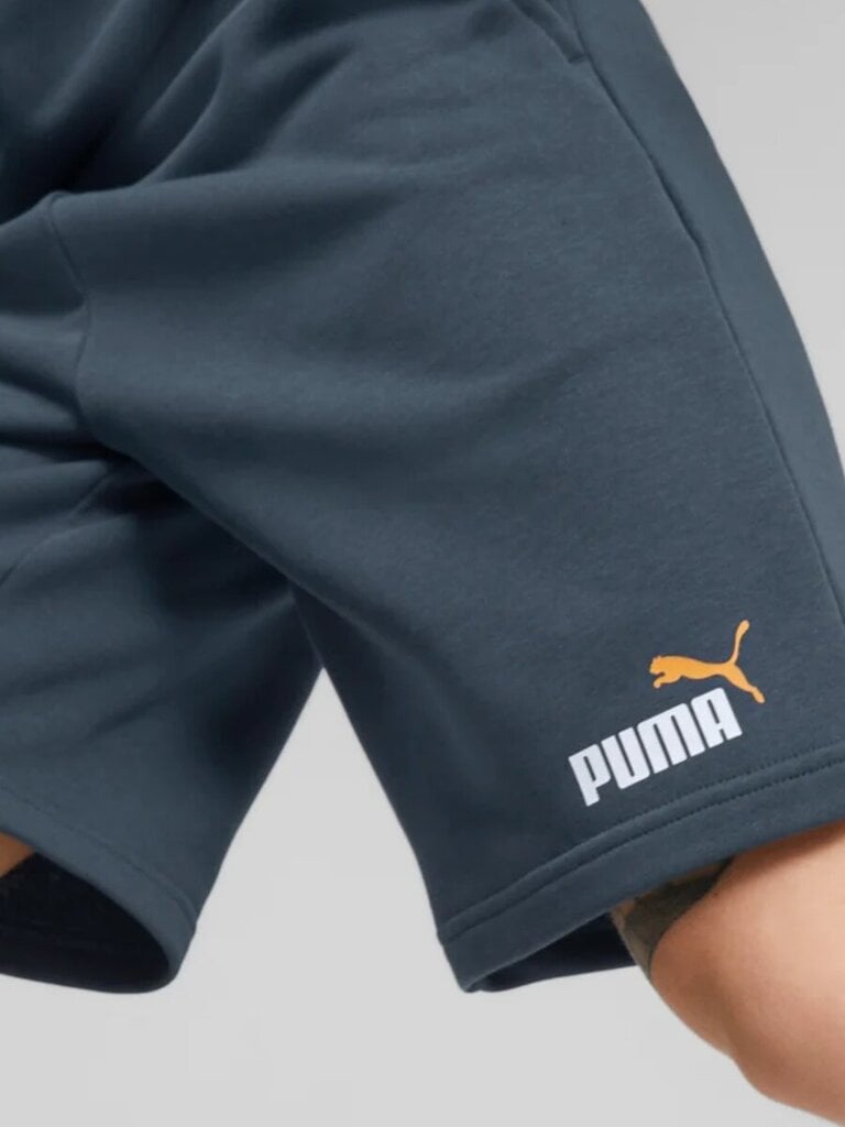 Puma šortaivyrams Essentials+ Two-Tone 234238313, mėlyni kaina ir informacija | Vyriški šortai | pigu.lt