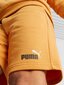 Puma šortai vyrams Essentials+ Two-Tone 234238319, geltoni kaina ir informacija | Vyriški šortai | pigu.lt