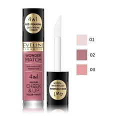 Skaistalai ir lūpų blizgesys Eveline Cosmetics Wonder Match 4in1 01, 4.5ml kaina ir informacija | Lūpų dažai, blizgiai, balzamai, vazelinai | pigu.lt